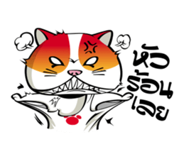 Tong Yong coolcat sticker #12550758
