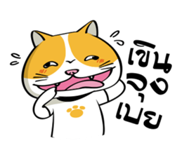 Tong Yong coolcat sticker #12550760