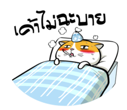 Tong Yong coolcat sticker #12550768