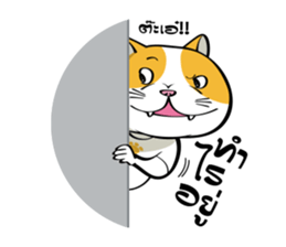 Tong Yong coolcat sticker #12550770