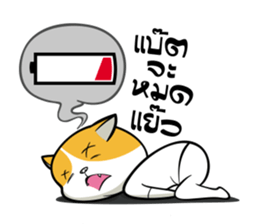 Tong Yong coolcat sticker #12550773
