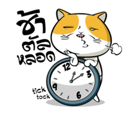Tong Yong coolcat sticker #12550774