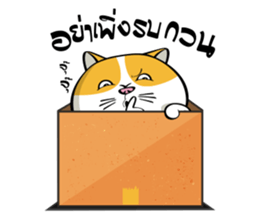 Tong Yong coolcat sticker #12550778