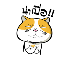 Tong Yong coolcat sticker #12550784