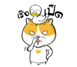 Tong Yong coolcat sticker #12550785