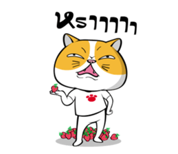 Tong Yong coolcat sticker #12550786