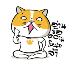 Tong Yong coolcat sticker #12550787