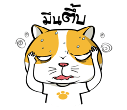 Tong Yong coolcat sticker #12550788