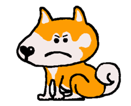 Shiba inu MOMO chan the third as well 8 sticker #12551122