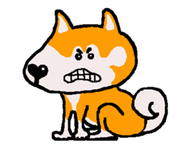 Shiba inu MOMO chan the third as well 8 sticker #12551123
