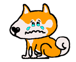 Shiba inu MOMO chan the third as well 8 sticker #12551127