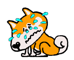 Shiba inu MOMO chan the third as well 8 sticker #12551129