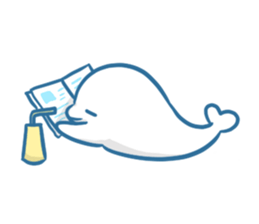 Indian porpoise and Fellow of the sea sticker #12552337