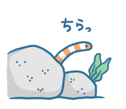 Indian porpoise and Fellow of the sea sticker #12552351