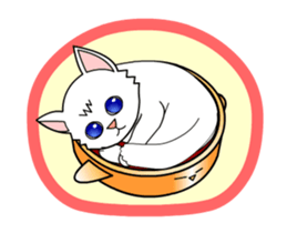 my cat Knee sticker #12552895