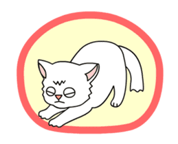 my cat Knee sticker #12552903