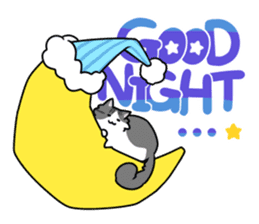 CATS ARE THE BEST sticker #12554255