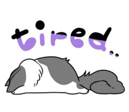 CATS ARE THE BEST sticker #12554260