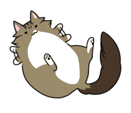 CATS ARE THE BEST sticker #12554266