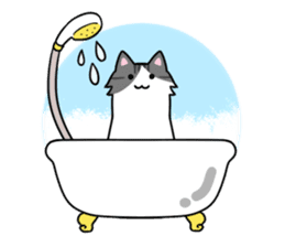 CATS ARE THE BEST sticker #12554268