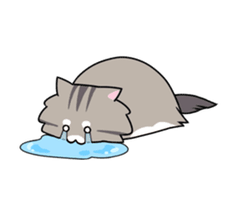 CATS ARE THE BEST sticker #12554271