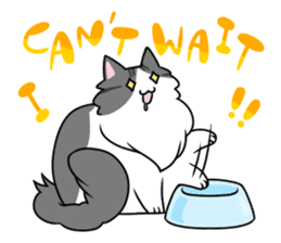 CATS ARE THE BEST sticker #12554275