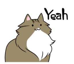 CATS ARE THE BEST sticker #12554280