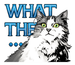 CATS ARE THE BEST sticker #12554287