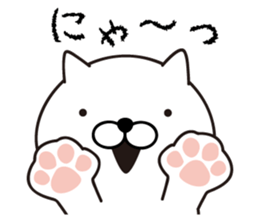 White Ball Cats 4nd. sticker #12554891