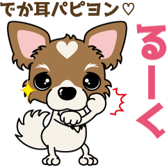 Papillon dog "Rook"2