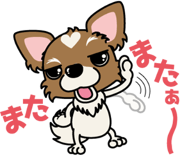 Papillon dog "Rook"2 sticker #12557084