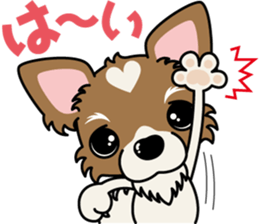 Papillon dog "Rook"2 sticker #12557085