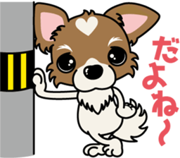 Papillon dog "Rook"2 sticker #12557089