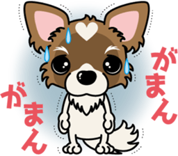 Papillon dog "Rook"2 sticker #12557094