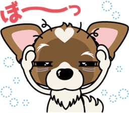 Papillon dog "Rook"2 sticker #12557095