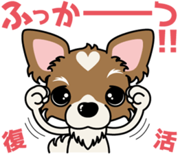 Papillon dog "Rook"2 sticker #12557097