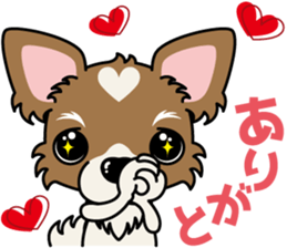 Papillon dog "Rook"2 sticker #12557100