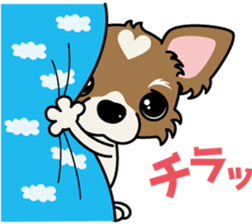 Papillon dog "Rook"2 sticker #12557101