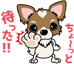 Papillon dog "Rook"2 sticker #12557102