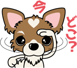 Papillon dog "Rook"2 sticker #12557106