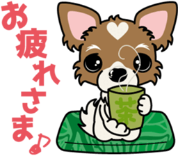 Papillon dog "Rook"2 sticker #12557107