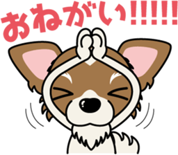 Papillon dog "Rook"2 sticker #12557111