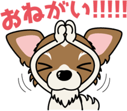 Papillon dog "Rook"2 sticker #12557111