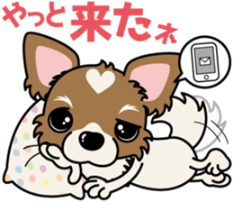 Papillon dog "Rook"2 sticker #12557115