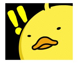 Moving Chick! - Animation Sticker sticker #12557571