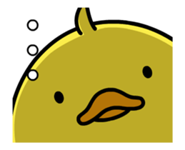 Moving Chick! - Animation Sticker sticker #12557589