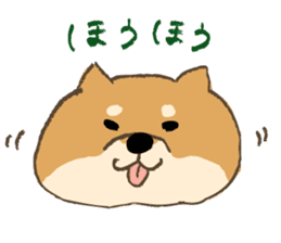 Japanese Shiba inu Tetsu sticker #12558823