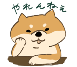 Japanese Shiba inu Tetsu sticker #12558826