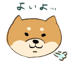Japanese Shiba inu Tetsu sticker #12558832