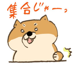 Japanese Shiba inu Tetsu sticker #12558837
